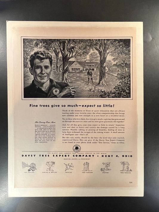 1950s Davey Tree Expert Company Advertisement - Vintage Arborist - 10x13